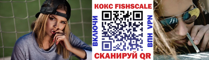 Кокаин Fish Scale  Купить закладки  Елизово 