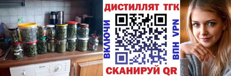 Купить закладки  Елизово  ТГК THC oil 